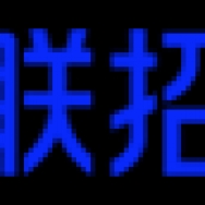 北京网聘信息技术有限公司